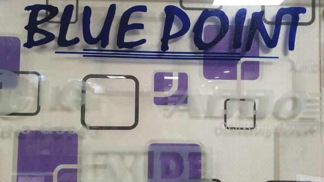BLUE POINT / LUMINOUS / V-GUARD