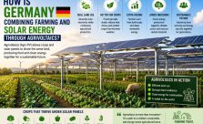 Brazil is expanding floating solar projects on hydropower reservoirs to generate more renewable electricity, improve water conservation, and maximize existing clean energy infrastructure.