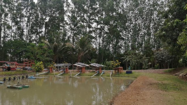 บ้านแดดดีอ่างทอง