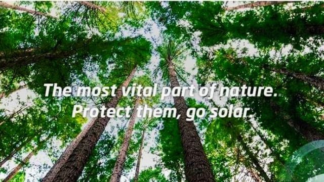 Hivesolar Energy Pvt Ltd