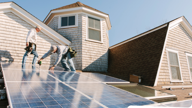 Palmetto Solar