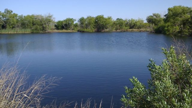 Pond Purification Co. (a Div of Erwon Energy Pvt Ltd)