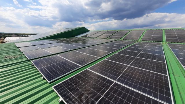 Solares