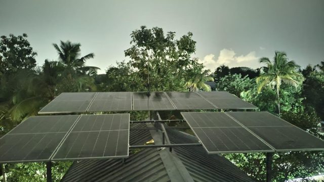 Sologreen